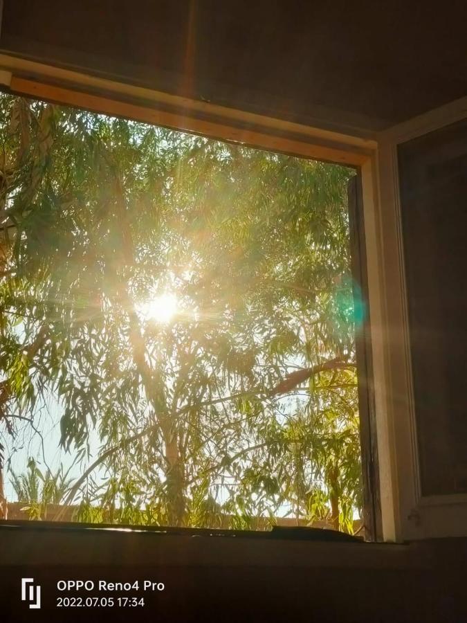 시와오아시스 A&S House B&B 외부 사진